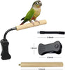 Give Your Bird The Perfect Seat Anywhere – Adjustable Portable Bird Perch Stand