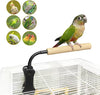 Give Your Bird The Perfect Seat Anywhere – Adjustable Portable Bird Perch Stand